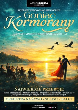 Puławy Wydarzenie Koncert Goniąc Kormorany - wspomnienia najpiekniejszych lat